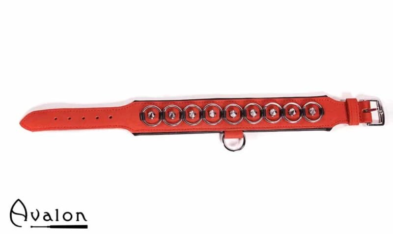 Avalon - WORSHIP - Collar med spisse nagler, ringer og D-ring - Rød og sort