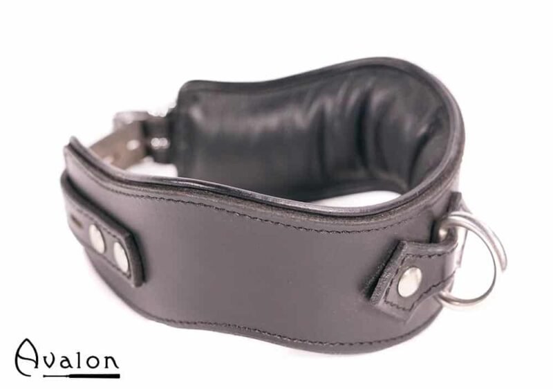 Avalon - GUARDED - Collar med god Polstring, Svart