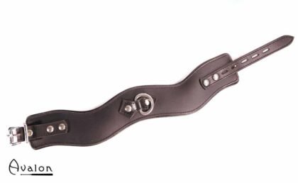 Avalon - GUARDED - Collar med god Polstring, Svart
