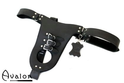 Avalon - GUILTY - Penis og Pung Harness - Svart