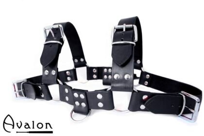 Avalon - BLAZON - Harness Svart