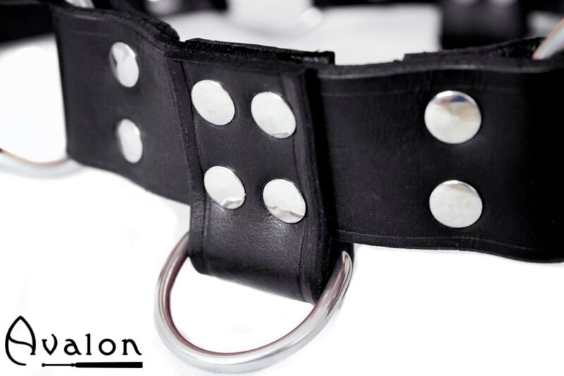 Avalon - BLAZON - Harness Svart