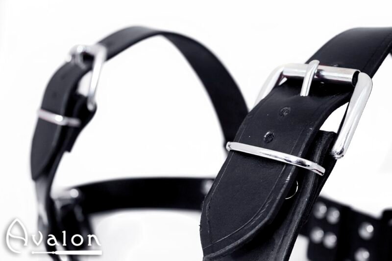 Avalon - BLAZON - Harness Svart