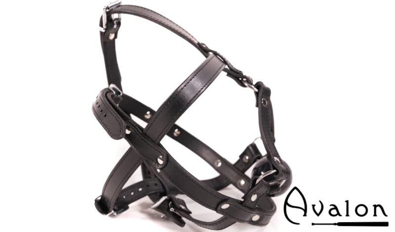 Avalon - TRAPPED - Hodeharness i lær med gag - Bilde 2