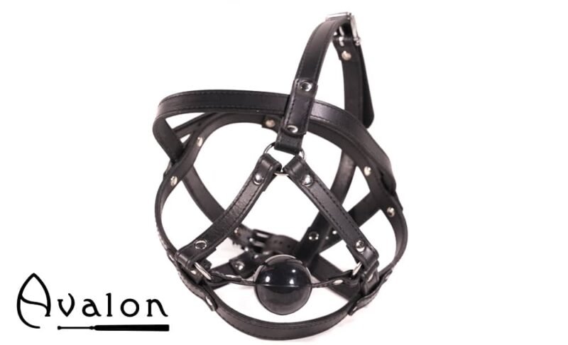 Avalon - TRAPPED - Hodeharness i lær med gag