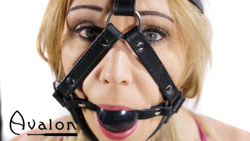 Avalon - TRAPPED - Hodeharness i lær med gag - Bilde 3