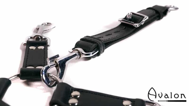 Avalon - SACRED - Hog-tie-sett med 5 deler - Sort