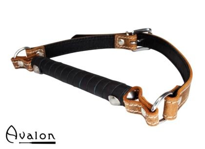 Avalon - Viking - Listen - Bitegag