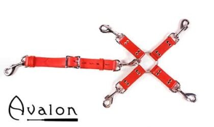 Avalon - SACRED - Hog-tie-sett med 5 deler - Rød