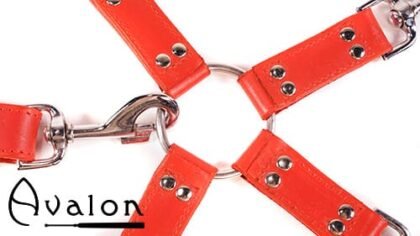 Avalon - SACRED - Hog-tie-sett med 5 deler - Rød