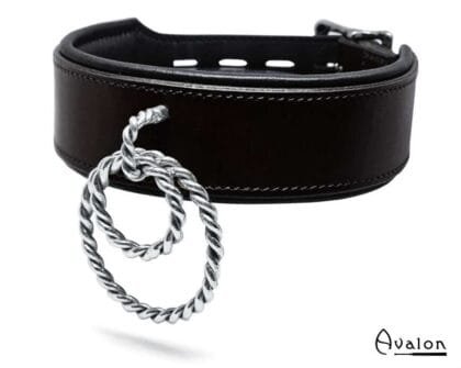 avalon nieve collar
